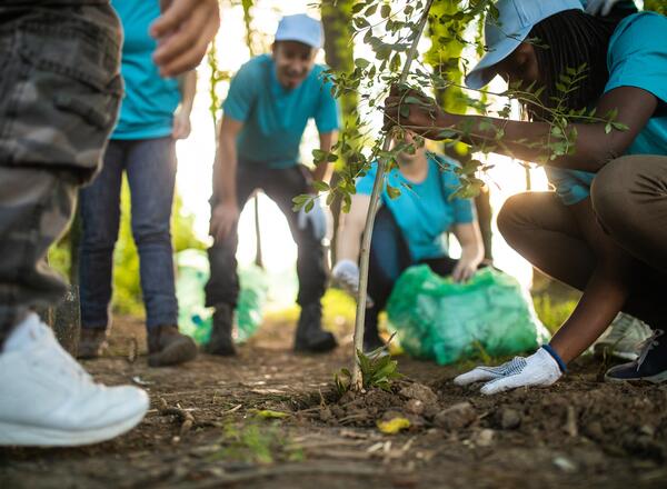 youth learning how to plant trees